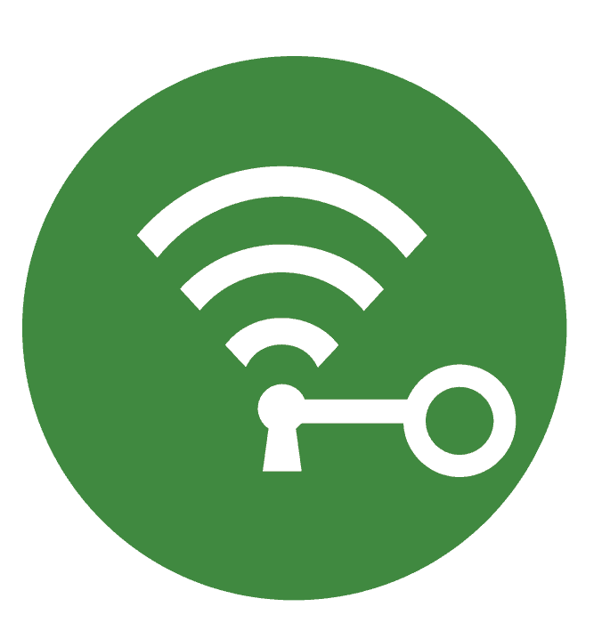 network icon